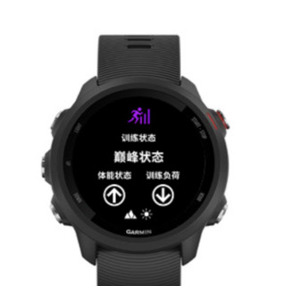 GARMIN 佳明 Forerunner 245 跑步智能手表 暗夜黑 010-02120-60 42.3mm 音乐版