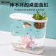 SQG鱼缸小型家用高清透明塑料生态鱼缸有盖办公桌椭圆形水族箱