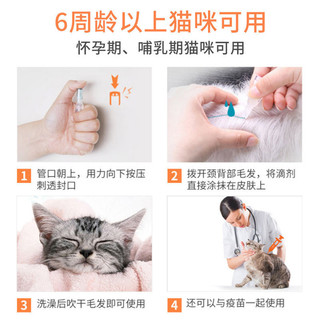 REVOLUTION 大宠爱 猫用体内外同驱成猫幼猫用体外驱虫药滴剂耳螨跳蚤虱子蛔虫驱虫药