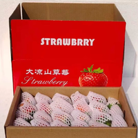 城南堡花 四川大凉山草莓  单果约13-20g 约3斤（中果）