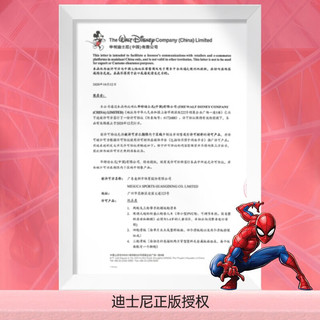 Disney 迪士尼 滑板儿童专业板少年初学者四轮滑板短板双翘板送礼物