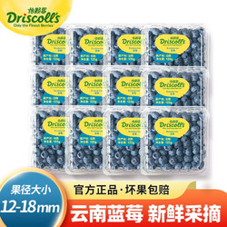 怡颗莓 云南蓝莓超大果 中果12盒 3斤装