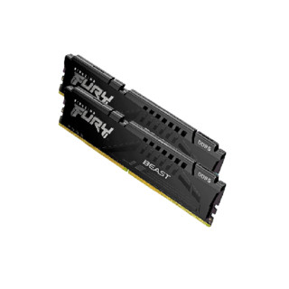 Kingston 金士顿 Fury系列 野兽 DDR5 5200MHz 台式机内存 马甲条