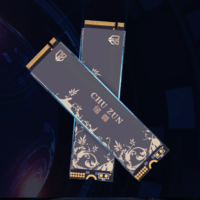 CHU ZUN 储尊 CN530 NVMe M.2 固态硬盘 1TB（PCI-E 3.0）