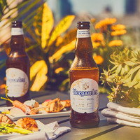 Hoegaarden 福佳 比利时风味精酿啤酒小麦白啤 整箱 330mL 24瓶