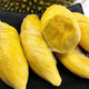 泰国5A级金枕榴莲肉250g+安岳黄柠檬1斤（买1赠1，附多方案）