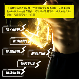 CELLUCOR 细胞肌能 一水肌酸粉 360g