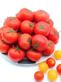 GREER 绿行者 透心红番茄自然熟新鲜西红柿孕妇可生吃水果小番茄沙瓤多汁