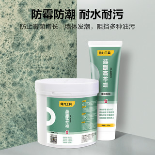 deli 得力 墙面修补膏 250g