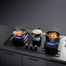 WEILI 威力 WL306三眼燃气灶厨房家用聚能天然气猛火嵌入式台式煤气灶具