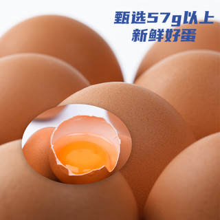 东方甄选高DHA鲜鸡蛋 30枚装 1800g