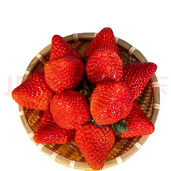 闻度鲜  丹东99草莓 3斤 单颗30-40克