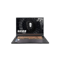 未来人类 风暴T17 十二代酷睿版 17.3英寸 游戏本 黑色(酷睿i7-12700H、RTX 3060 6G、16GB、2TB SSD、2.5K、165Hz)
