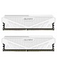 GLOWAY 光威 16GB(8Gx2)套装 DDR4 3200 台式机内存条 天策系列-皓月白