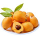 米易高山枇杷甜枇杷新鲜水果 带箱3斤中果（20-30g）