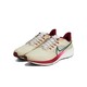 NIKE 耐克 AIR ZOOM PEGASUS 39 男款运动跑步鞋 FB7161-231