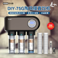 ROSWAN 乐天鹅 DIY乐天鹅净水器家用直饮自来水过滤器厨房净化器ro反渗透纯水机