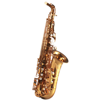 Rollinsax 萨克斯 降e调中音萨克斯管乐器 9901初学入门演奏款