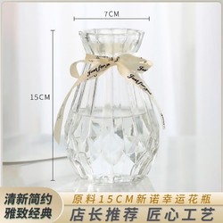 喷壶花瓶居家摆放玻璃花瓶北欧创意简15cm玻璃