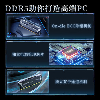 雷克沙（Lexar）DDR5 32GB 16G*2套条 5600/6000 电竞RGB灯超频内存条 DDR5 6000 32GB 16G*2套条 精选海力士超频颗粒 Ares