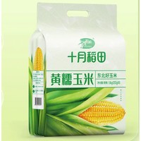 十月稻田 黄糯玉米 8根/1600g