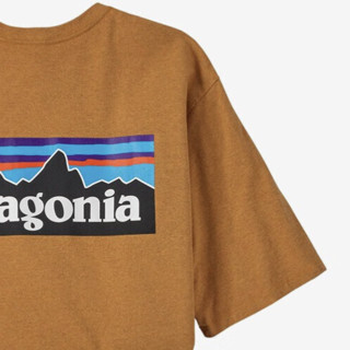 Patagonia 巴塔哥尼亚 P-6 男子户外T恤 38504 云莓橙 M