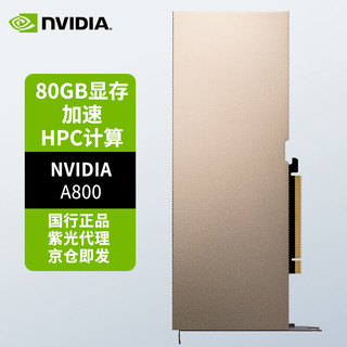 NVIDIA 英伟达 A800 80G 专业运算卡