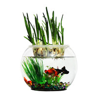 易萌 小型桌面创意 水培容器 水培植物花瓶 家用客厅鱼缸 圆形玻璃鱼缸20cm