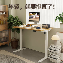 Loctek 乐歌 电动升降桌电脑桌写字桌iE3/1.4m灰胡桃木色套装