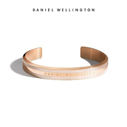 Daniel Wellington 丹尼尔惠灵顿 dw 双色手环 DW00400012