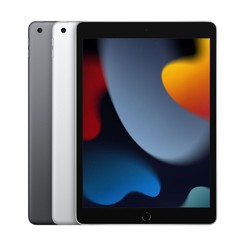 Apple 苹果 iPad 9 2021款 10.2英寸平板电脑 256GB WLAN版