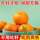 橙上良品 正宗云南无籽沃柑新鲜贵妃柑水果3/5/9斤装