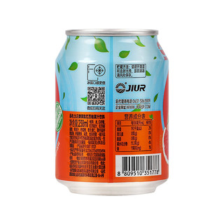九日牌 西柚汁饮料 内含西柚果粒 西柚果汁饮品 238ml*10罐/箱