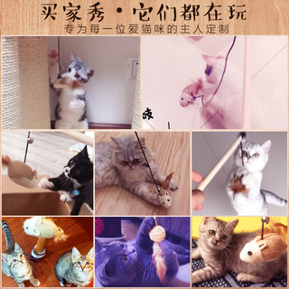 Hoopet 逗猫棒长杆猫玩具自嗨小猫解闷神器幼猫磨牙啃咬抖猫棒斗猫神器