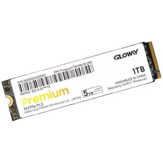 GW 光威 Gloway）1TB SSD固态硬盘 M.2接口(NVMe协议) Premium系列-高级版 TLC颗粒 1GB独立缓存