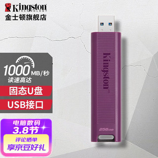 Kingston 金士顿 DTMAXA USB3.2 固态U盘 红色 256GB