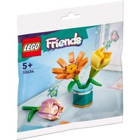 LEGO 乐高 Friends 好朋友系列 30634 友谊的花朵