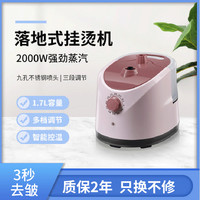 大蒸汽挂烫机家用烫衣服熨烫机小型手持服装店家用电熨斗立式738A