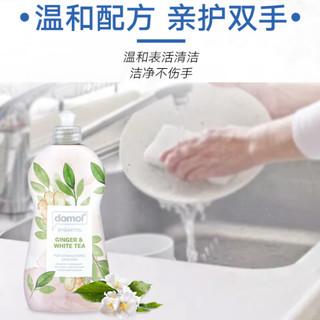 Domol 生姜白茶洗洁精