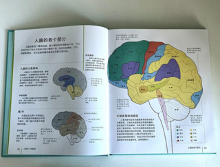 《DK大脑高效锻炼大百科》