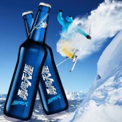snowbeer 雪花 啤酒(snowbeer)勇闯天涯 superx 500ml*12瓶