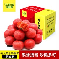 GREER 绿行者 桃太郎小粉番茄5斤单果50g起生吃西红柿新鲜蔬菜现摘