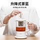 SMAL 西摩 小型黑茶煮茶器家用白茶煮茶壶玻璃办公室泡茶机水果茶一人