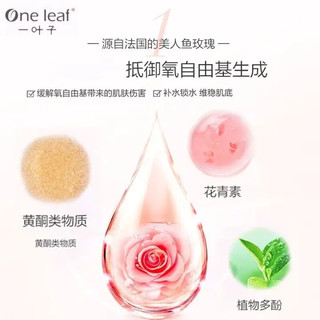 one leaf 一叶子 破壁玫瑰活力肌底液50ml