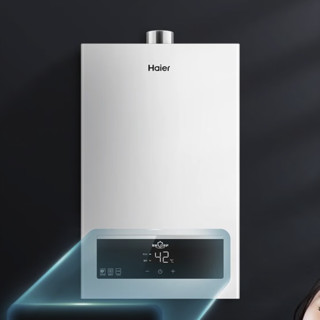 Haier 海尔 JSQ22-12UTSDMWM 燃气热水器 白色 12L