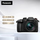 Panasonic 松下 GH5M2 微单无反相机 + ES12060 镜头