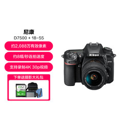 Nikon 尼康 D7500单反相机/数码相机 高清旅游4K视频18-55不防抖镜头