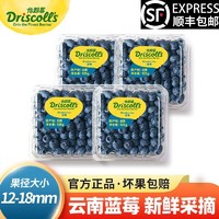怡颗莓 蓝莓125g*4盒云南蓝莓中果12-18mm当季新鲜采摘孕妇水果辅食