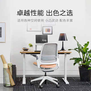 STEELCASE 世楷 Series 1人体工学椅家用办公电脑椅老板椅久坐舒适学习座椅 蓝灰色+头枕