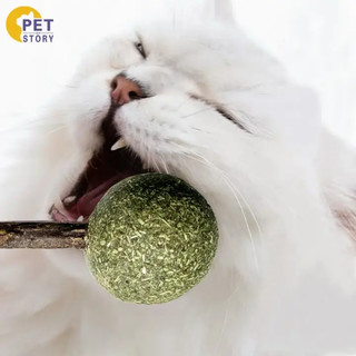 petofstory 猫薄荷球棒棒糖零食猫玩具磨牙棒球 宠物猫猫咪自嗨去毛球幼小猫磨牙棒球木天蓼玲珑球